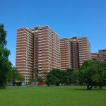 Clarence Lane from Queenstown Secondary School