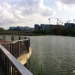 Lake behind Anchorvale Community Club