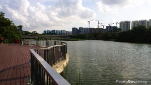 Lake behind Anchorvale Community Club