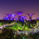 Super trees in Garden by the Bay, Singapore.
