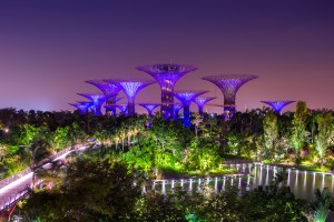 Super trees in Garden by the Bay, Singapore.