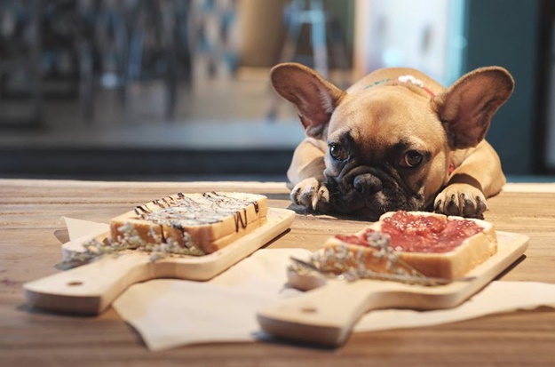 à¹à¸à¹à¸²à¸à¸°à¸à¸´ à¹à¸«à¹à¸à¸£à¹à¸²à¸ Coffee Gapi