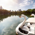 Boat in Lumpini Park in Bangkok