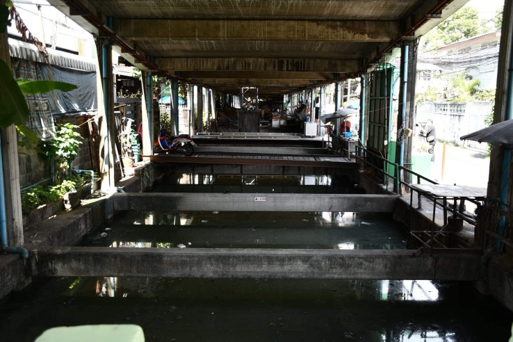 à¸à¸£à¸±à¸à¸à¸£à¸¸à¸à¸ªà¸°à¸à¸²à¸à¹à¸à¸µà¸¢à¸§