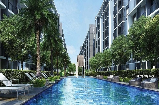 à¸à¸­à¸à¹à¸à¸¯ à¹à¸à¸£à¸´à¹à¸