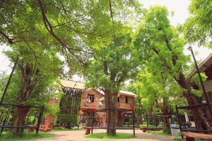 สะพานใหม่