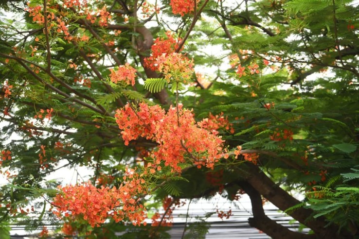 à¸à¸¥à¸­à¸à¸à¸²à¸à¸¥à¸³à¸à¸¹ à¸¢à¹à¸²à¸à¸à¸´à¹à¸à¹à¸à¸¥à¹à¸²