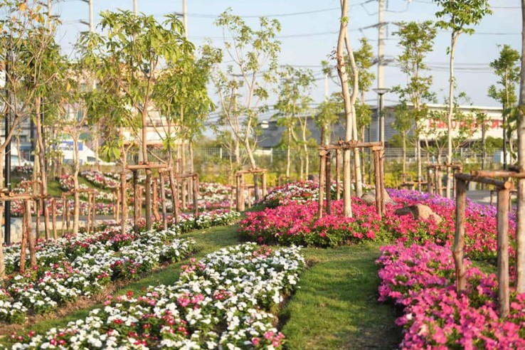 à¸à¸­à¸à¹à¸à¸à¸à¸§à¸¢à¸«à¸¥à¸²à¸à¸ªà¸µà¹à¸à¸ªà¸§à¸à¸§à¸à¸²à¸ à¸´à¸£à¸¡à¸¢à¹à¸£à¹à¸¡à¹à¸à¸¥à¹à¸²