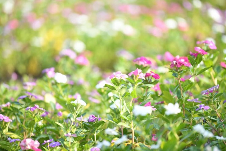 à¹à¸à¸´à¹à¸¡à¸ªà¸µà¸ªà¸±à¸à¸à¸­à¸à¸à¸£à¸£à¸¡à¸à¸²à¸à¸´à¹à¸«à¹à¸à¸±à¸à¸¢à¹à¸²à¸à¸¥à¸²à¸à¸à¸£à¸°à¸à¸±à¸