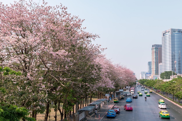 à¸à¸à¸¸à¸à¸±à¸à¸£