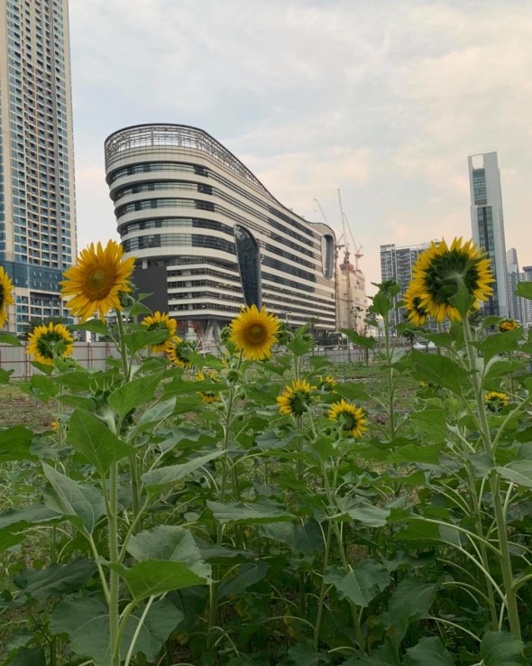 สวà¸à¸à¸±à¸à¹à¸à¸à¸¥à¸²à¸ 'à¸à¸£à¸°à¸£à¸²à¸¡ 9'