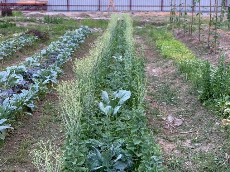 สวà¸à¸à¸±à¸à¹à¸à¸à¸¥à¸²à¸ 'à¸à¸£à¸°à¸£à¸²à¸¡ 9'