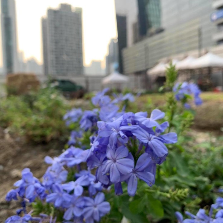 สวà¸à¸à¸±à¸à¹à¸à¸à¸¥à¸²à¸ 'à¸à¸£à¸°à¸£à¸²à¸¡ 9'