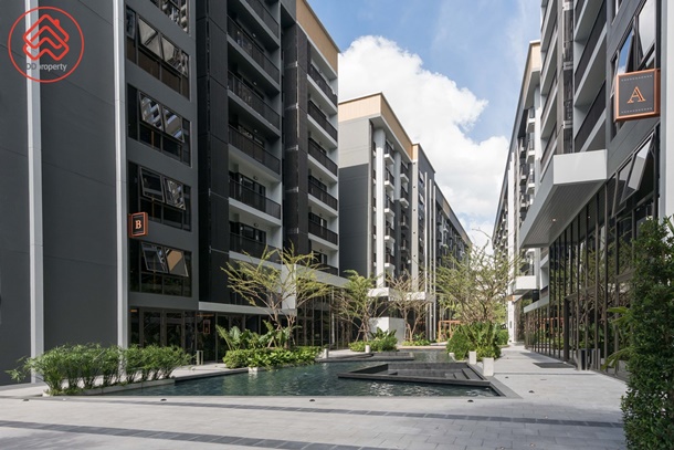 The-Politan-Breeze_001