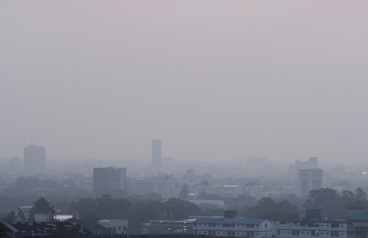 à¹à¸à¸µà¸¢à¸à¹à¸«à¸¡à¹ ภายà¹à¸à¹à¸«à¸¡à¸à¸à¸à¸§à¸±à¸