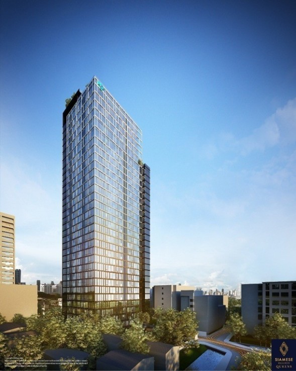 Siamese Exclusive Queens