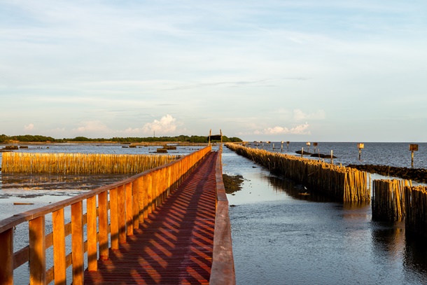 ยà¹à¸²à¸ à¸à¸²à¸à¸à¸¸à¸à¹à¸à¸µà¸¢à¸ à¹à¸à¸à¸±à¸à¸à¸¸à¸à¸±à¸