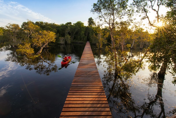 à¸£à¸°à¸¢à¸­à¸ à¹à¸¡à¸·à¸­à¸à¸à¹à¸­à¸à¹à¸à¸µà¹à¸¢à¸§à¹à¸¥à¸°à¸à¸´à¸à¸¡à¸­à¸¸à¸à¸ªà¸²à¸«à¸à¸£à¸£à¸¡