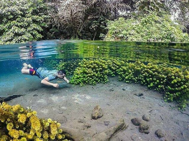 Telaga air yang jernih membuat pengunjung dapat melihat jelas ikan-ikan kecil serta tumbuhan yang berada di dasar air. (jejakpiknik.com)