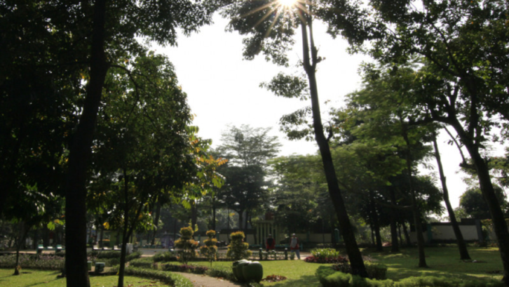 5. Taman di Jakarta Timur: Taman Flamboyan
