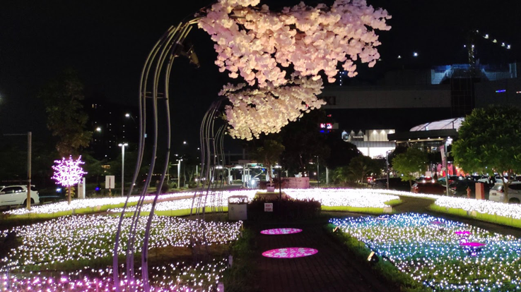 Lampu warna-warni di salah satu opsi tempat piknik di tangerang Sakura Garden jadi favorit banyak orang untuk berswafoto. (Foto: Youtube.com)