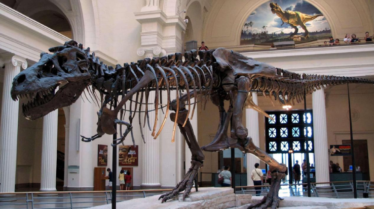 4. Museum di Bogor: Museum Zoologi, Wisata Edukasi Hewan Prasejarah