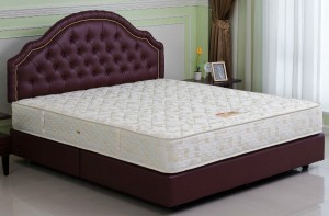 Bedding_Spring
