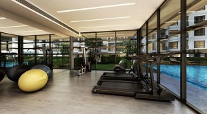 Sena_The Niche ID Bangkae_fitness