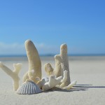 Bermuda top island for wealthy