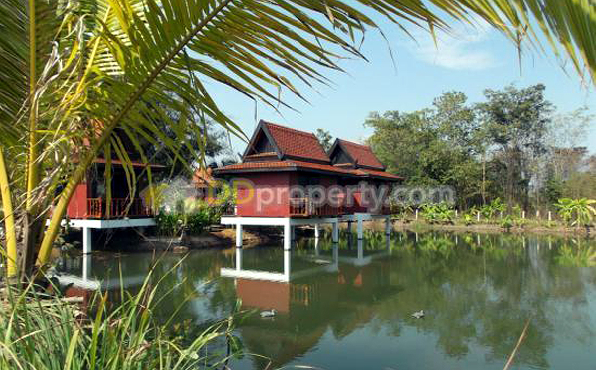 Thailand businesses for sale