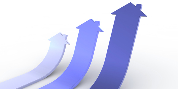 property trend