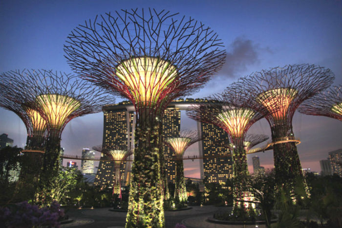 Singapore Supertrees