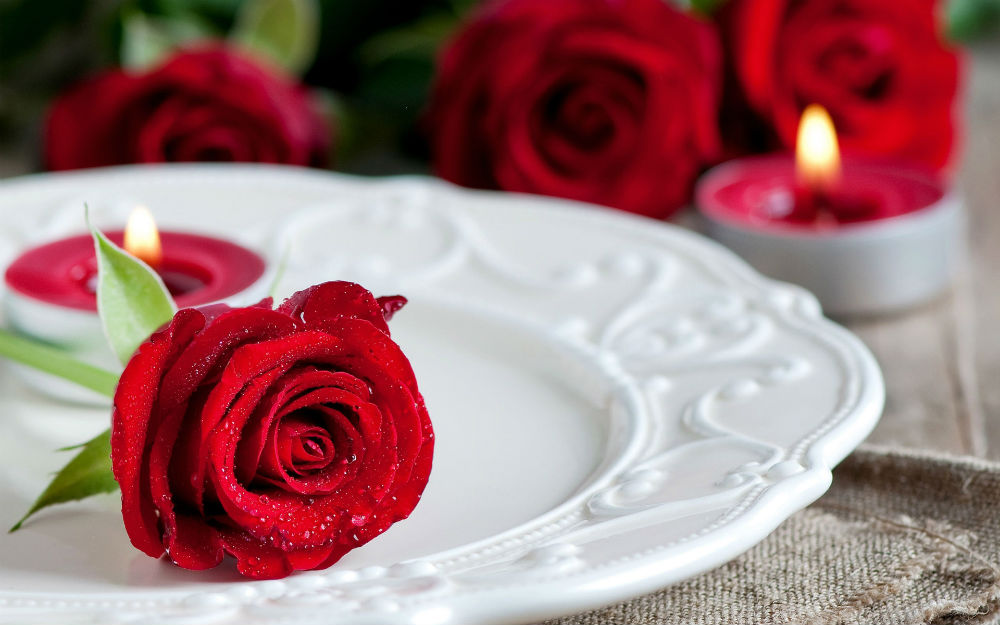 red-rose