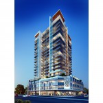 Aurelia Perth Australia FinbarAurelia Perth Australia Finbar