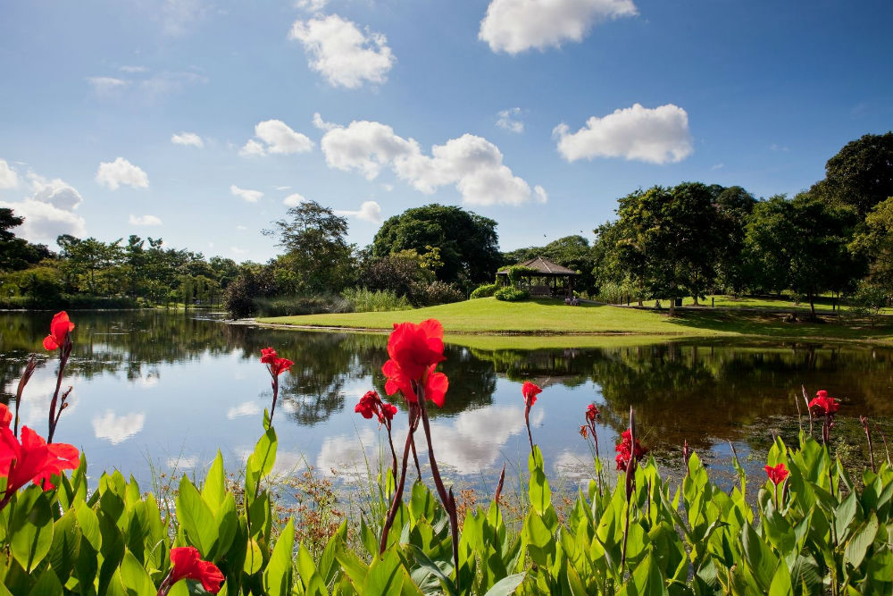 Singapore Botanic Gardens
