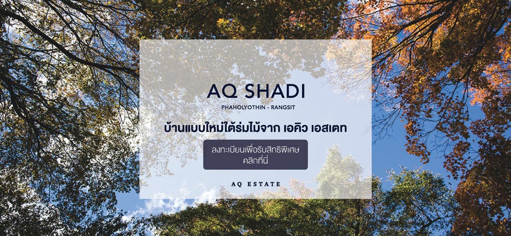 AQ Shadi 