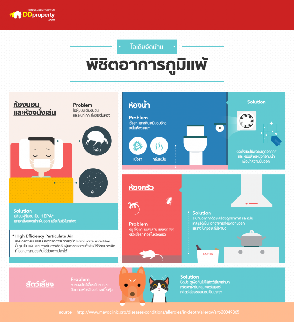 ไอเดียจัดบ้าน พิชิตอาการภูมิแพ้