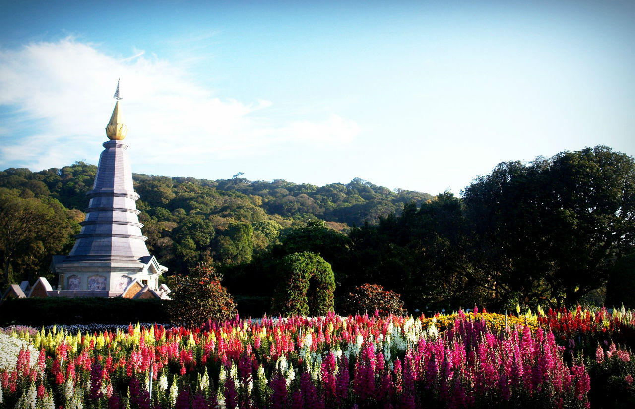 Chiang Mai_Inthanon