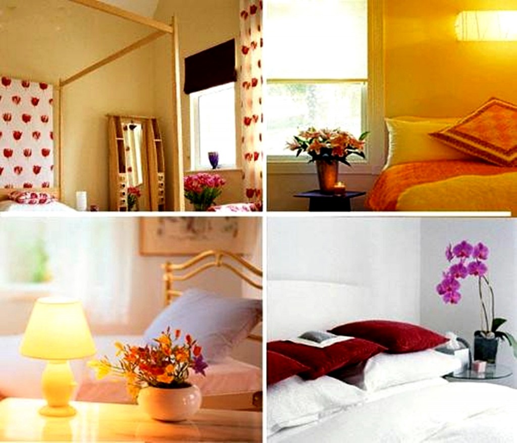 Life Style feng shuiflower-001