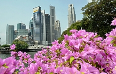 SG economy