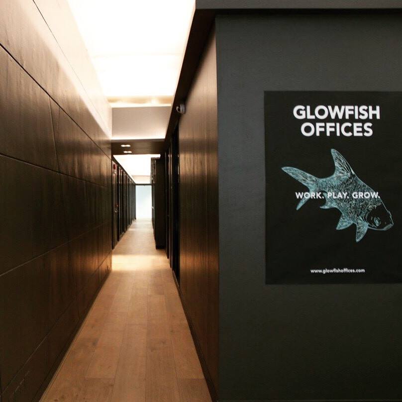 Glowfish offices