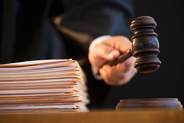 Homeowners Not Liable For Damage To Neighbour s Property Property 