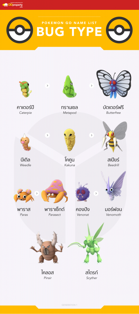 POKEMON infographic bug