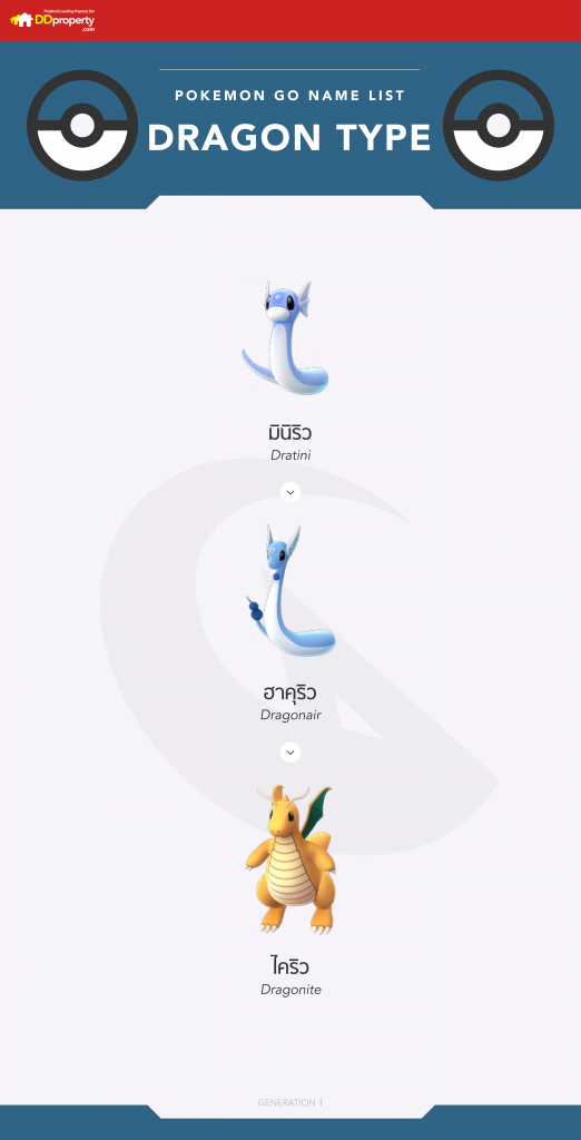 POKEMON infographic dragon