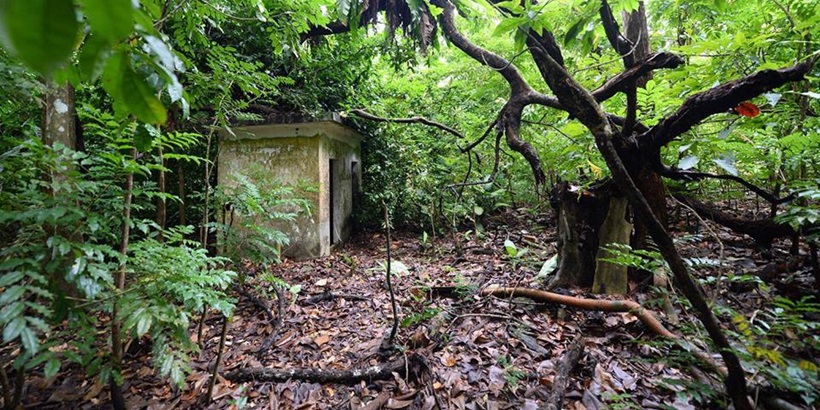 Thomson Nature Park-crop