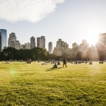 New Park in Taman Puncak Jalil, Seri Kembangan