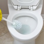 5 วิธี แก้ปัญหาชักโครกเจ้ากรรมอุดตัน!!