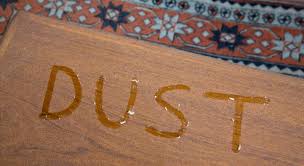 8 imagesdust fur