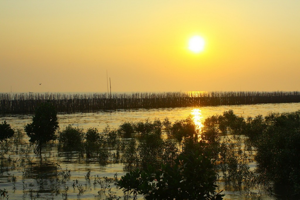 สถานตากอากาศบางปู สถานที่ท่องเที่ยวในเมืองสมุทรปราการ