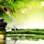 Let Destiny Chart Determine Your Property